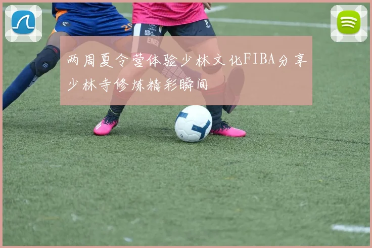 两周夏令营体验少林文化FIBA分享少林寺修炼精彩瞬间
